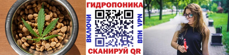 Cannafood марихуана Саранск
