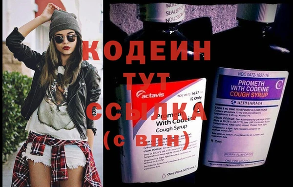 молекула духа Михайловск