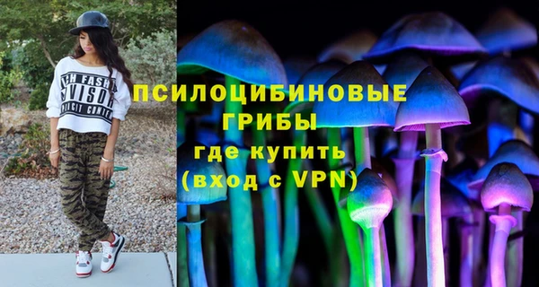 ECSTASY Михайлов