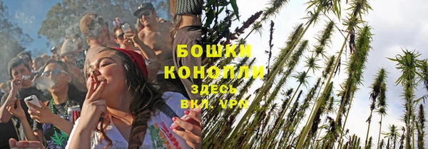ECSTASY Михайлов