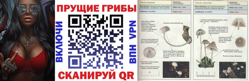 KRAKEN ссылка  Саранск  Галлюциногенные грибы MAGIC MUSHROOMS 