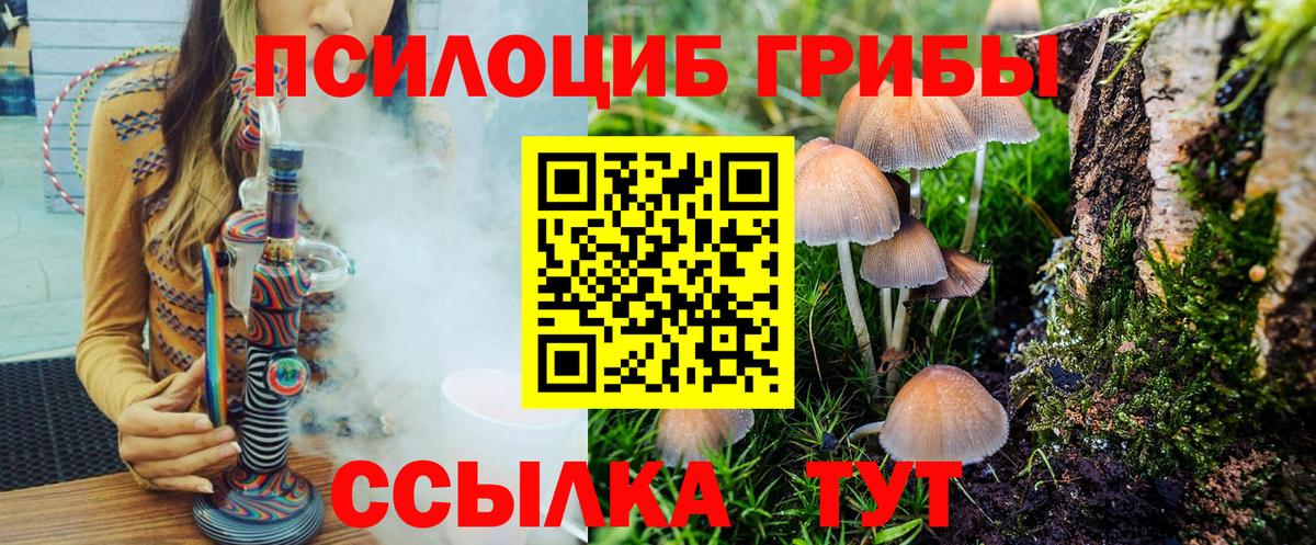 Галлюциногенные грибы Cubensis Саранск