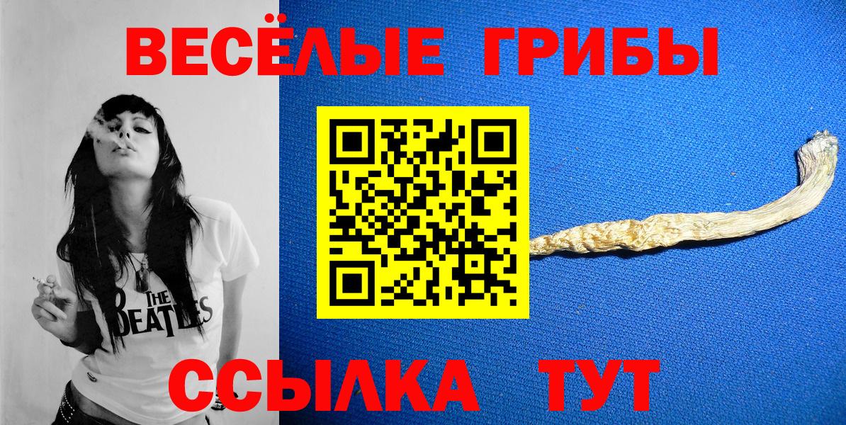 ГАШ Саранск