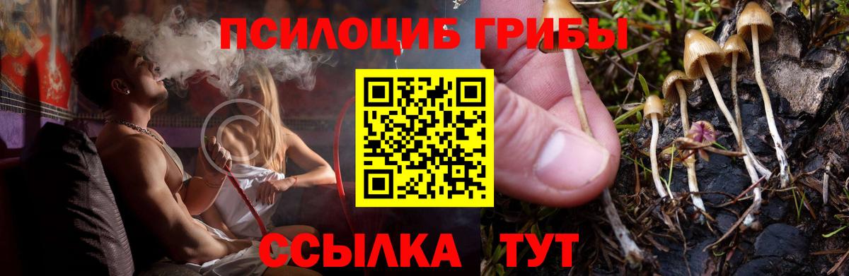 Галлюциногенные грибы Cubensis  Вход с VPN  Псилоцибиновые грибы GOLDEN TEACHER  Саранск 